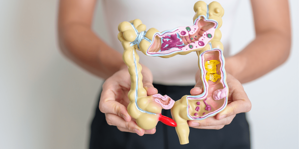 Esto es azúcar - La importancia de la microbiota intestinal en la salud
