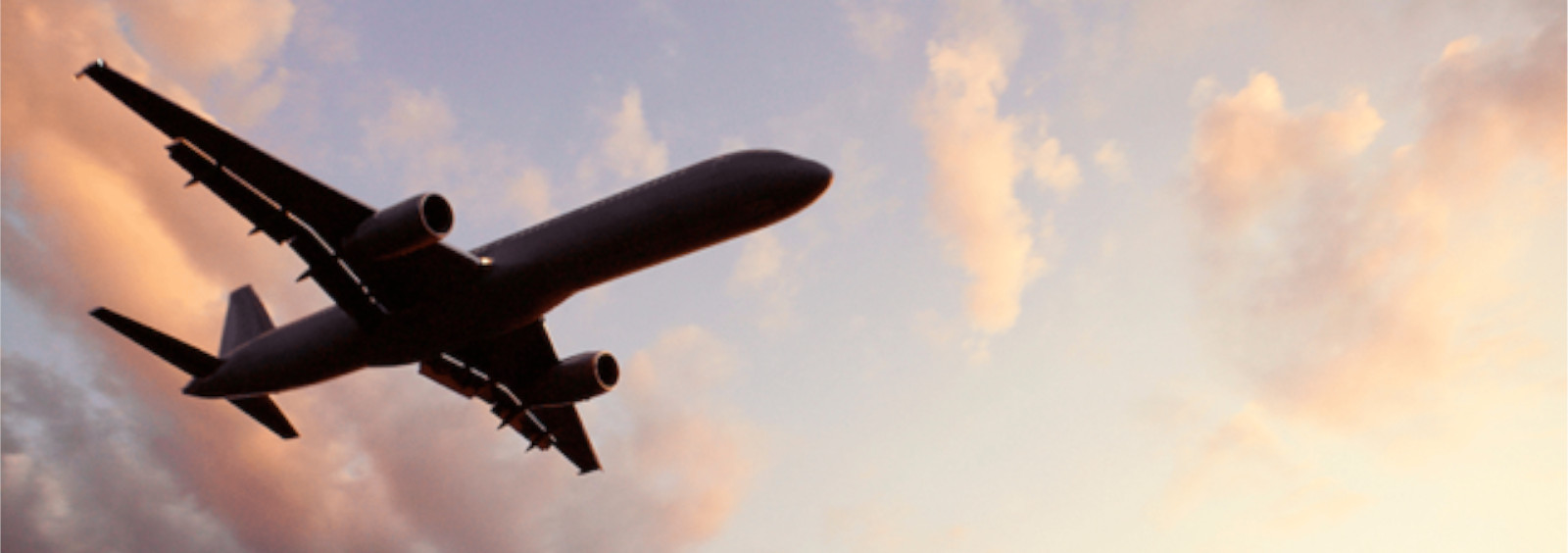 Esto es azúcar - Un Futuro Sostenible: La Caña de Azúcar como Combustible Renovable para Aviones