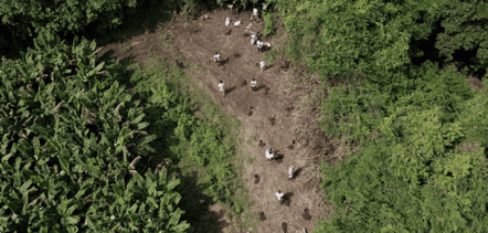 rio2